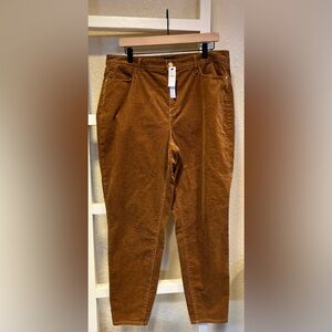 🆕 Talbots Corduroy Tapered Jeggings in Rich Brown, Size 14